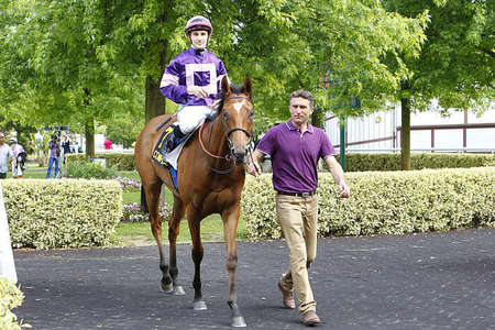 Actualités Hippiques